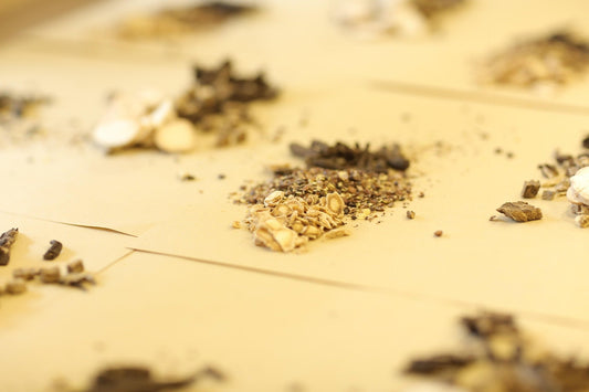 Close-up view of assorted herbs of traditional chinese medicine arranged in small piles on sheets of beige paper, with focus on sliced roots and seeds.