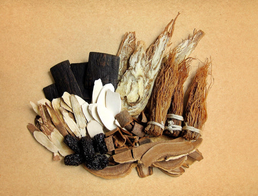 A flat lay of assorted dried traditional Chinese medicinal herbs, including ginseng roots, bark, and sliced roots, arranged neatly on a tan background.