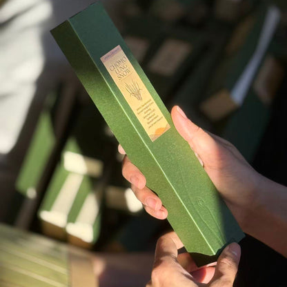 The Quintet: Festival Collection