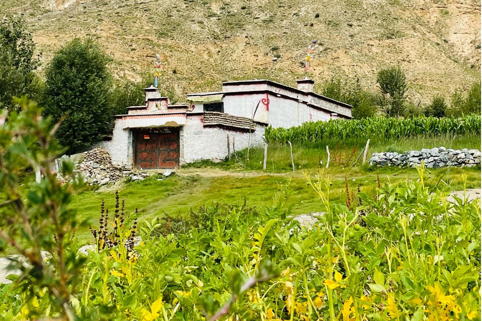 A small white building stands alone in a vast field, surrounded by trees, grass and stones, set against the serene backdrop of Tibet's landscape.