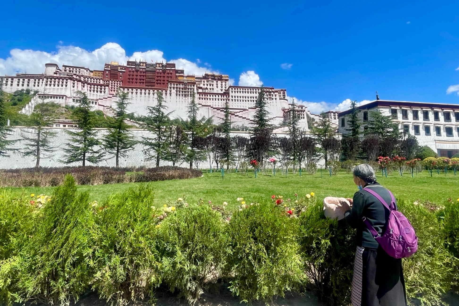 An old woman wearing a purple backpack stands in awe, observing the iconic Potala Palace of Tibet, nestled in the beautiful Tibetan mountains.