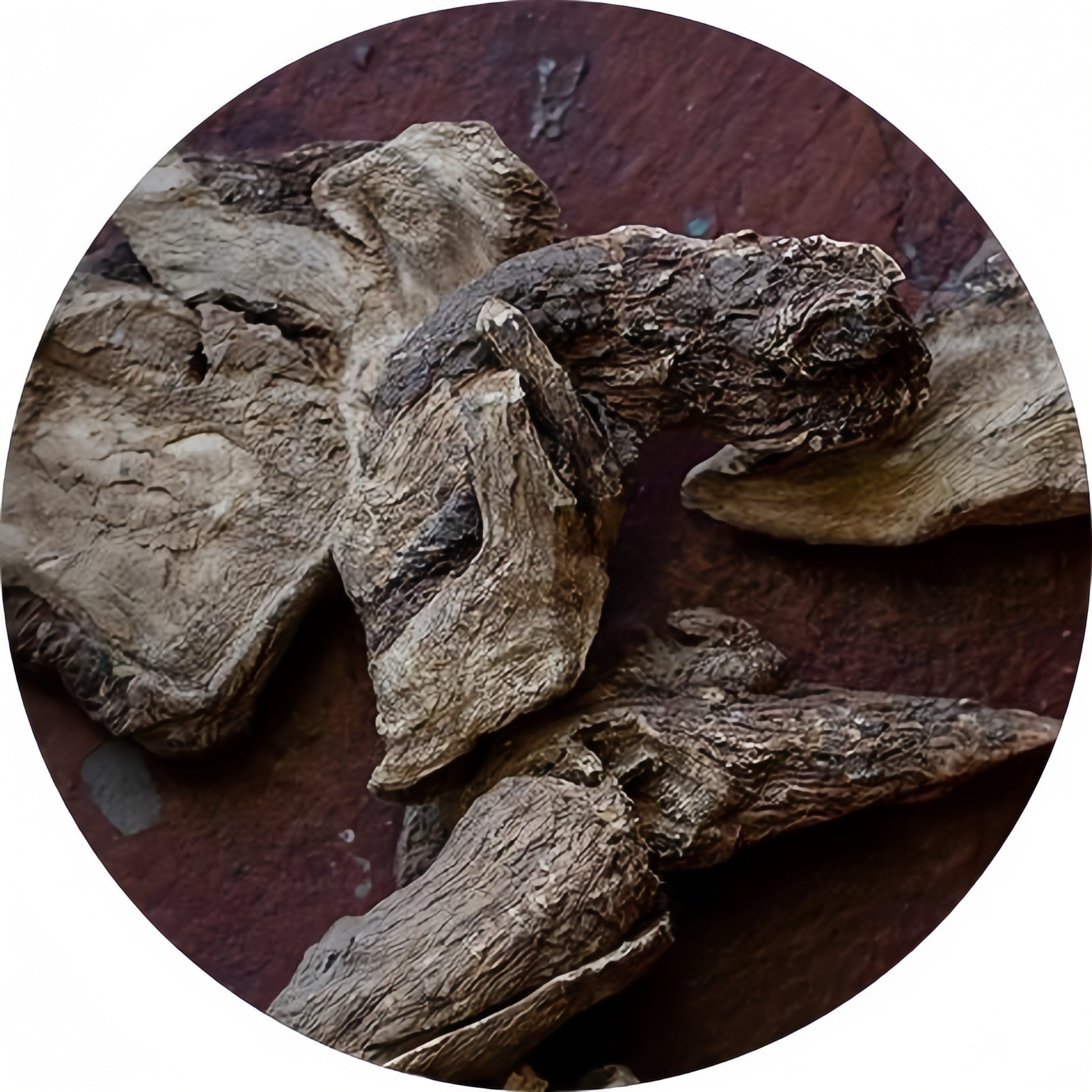 Close-up image of dried Inula Racemosa wood (a key ingredient of Tibetan incense) from Tibet on a circular surface, emphasizing the wood's intricate details and textures.