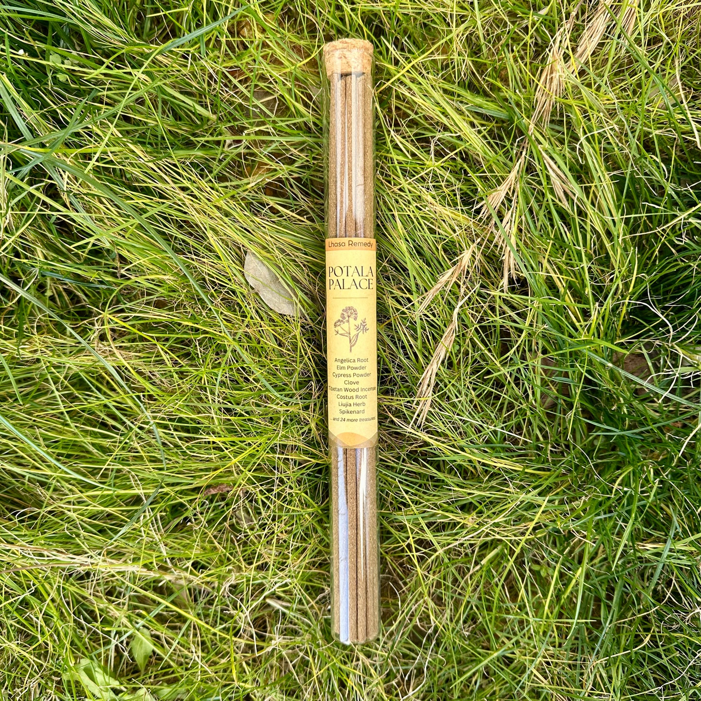 A glass tube of Lhasa Remedy Potala Palace incense sticks with a cork top, placed on fresh green grass.