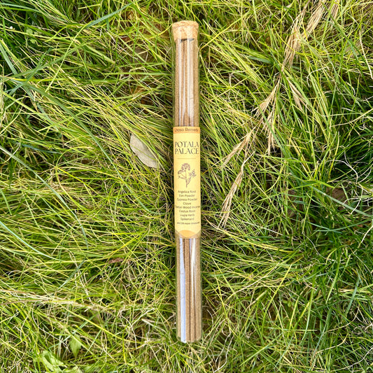 A glass tube of Lhasa Remedy Potala Palace incense sticks with a cork top, placed on fresh green grass.